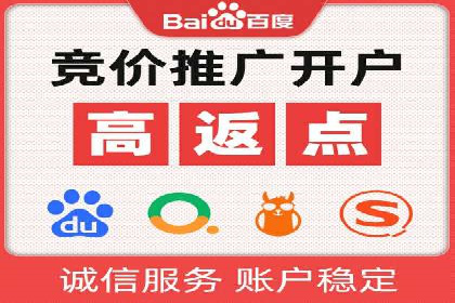 百度推广实战攻略：案例与策略